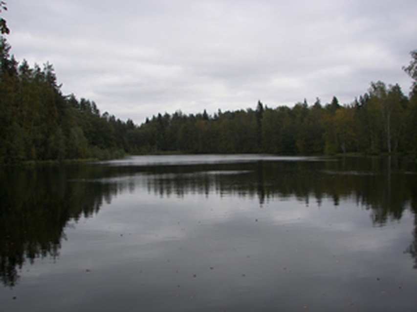 Карасевое