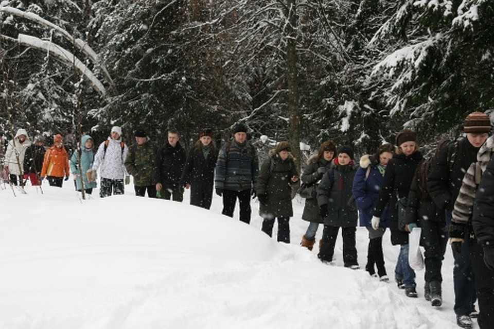 Дорога от станции до поляны - около 3 милометров. И на всей тропе идут люди.