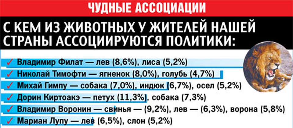 Чудные ассоциации Фото: Из архива "КП"