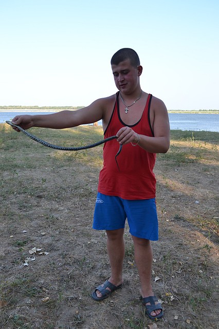 А на рыбалке водятся... ужи. Фото: Наталия АНДРЕАССЕН