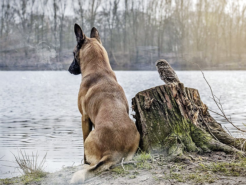 Фото: facebook.com/tanja.brandt