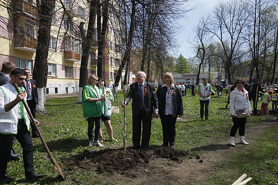 В преддверии 70-летия Победы в самом центре города высадили 70 лип