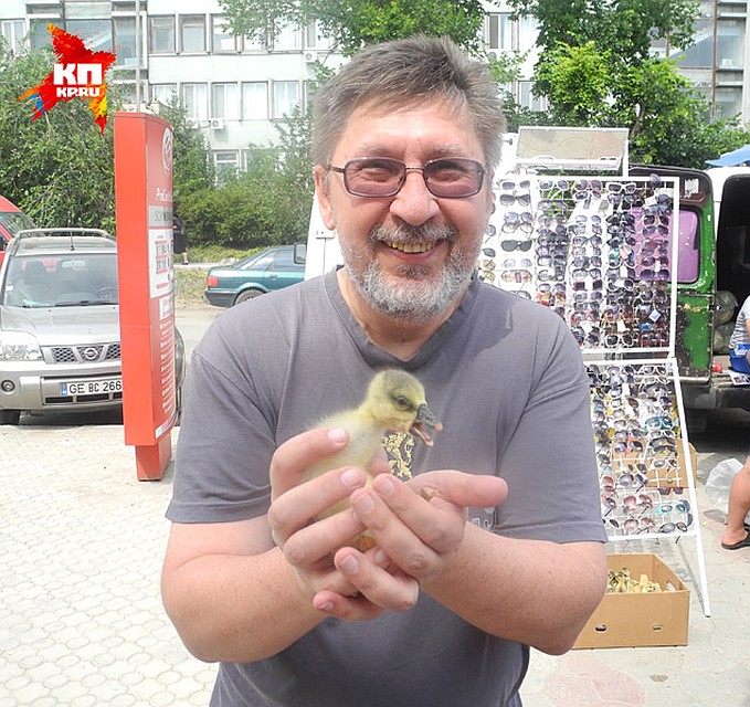 «Это что еще за приезжий гусь?» - подумал трехдневный гагаузский гусенок, когда корреспондент взял его на руки. Фото: Сергей ПОНОМАРЕВ