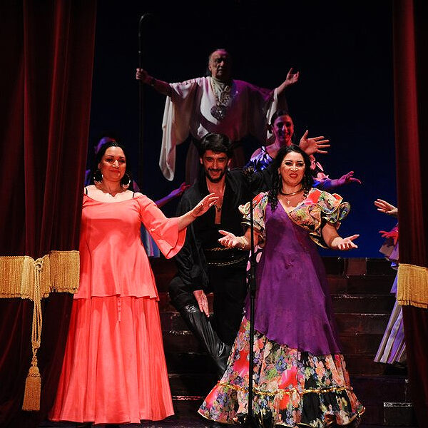 Ночь театров в театре Ромэн