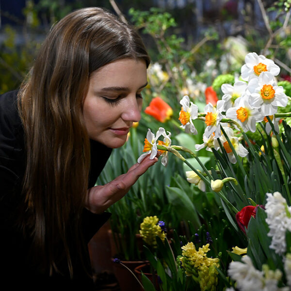 8 марта в Аптекарском огороде