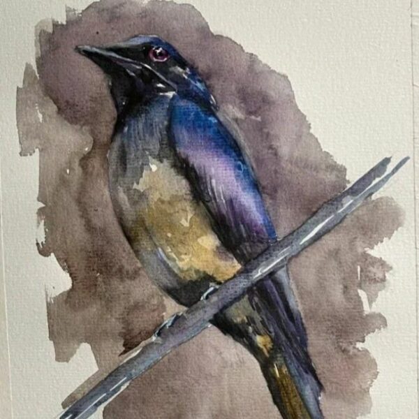 Выставка «Следуй за синей птицей» в доме-музее Станиславского  