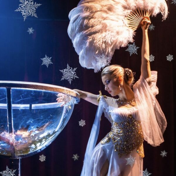 Цирковое шоу Le Vertige