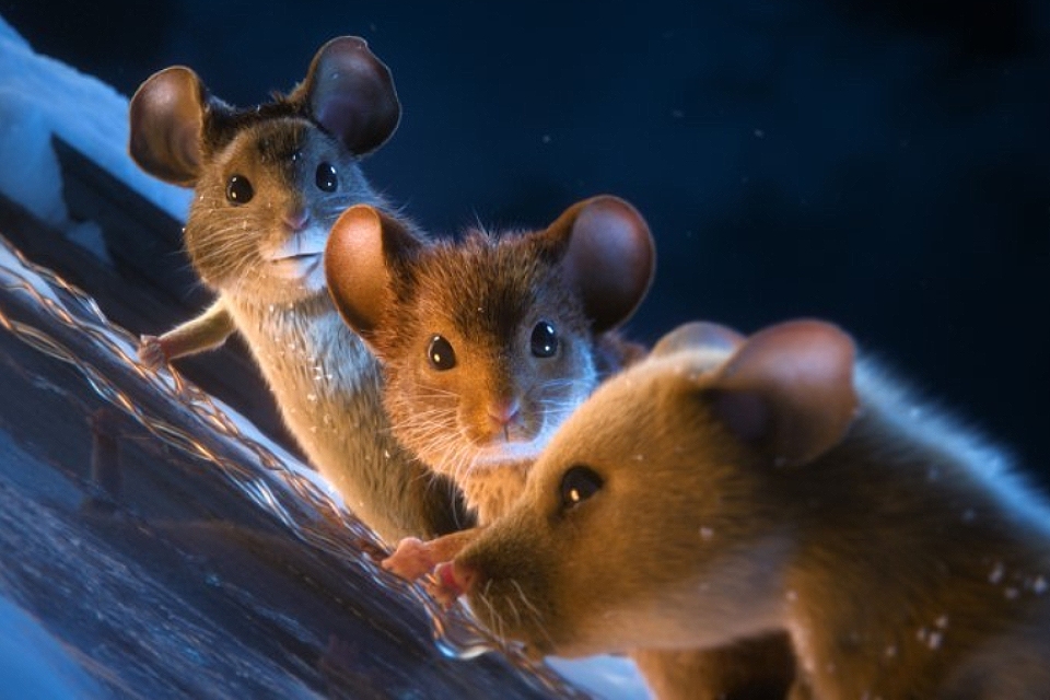 Фильм «Мышиный переполох» (2025): хвостатые мстители на страже Рождества