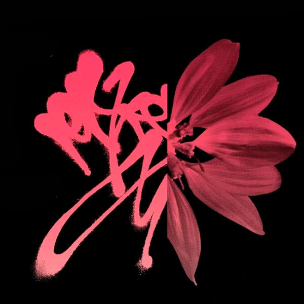 Питчинг дебютантов в рамках Международного кинофестиваля в Москве