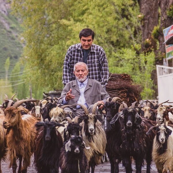 Международный кинофестиваль «Литература и кино» 