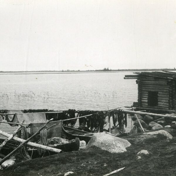 Выставка «Для рыбалки мало страсти — нужны снасти»