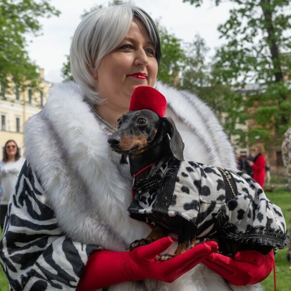 Фестиваль «Такс-парад»