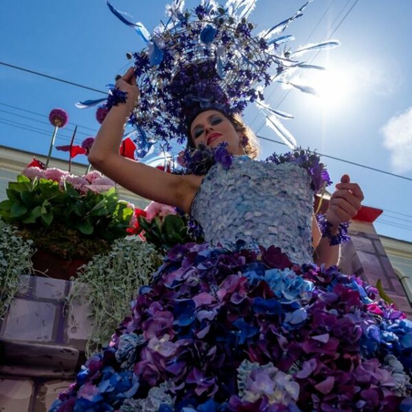 Фестиваль цветов