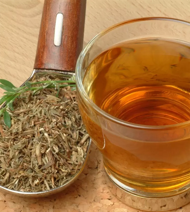 Спорыш. Фото: Globallookpress