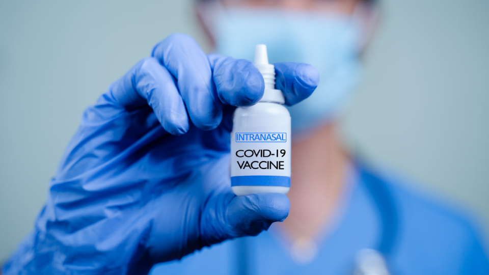 Назальная вакцина от коронавируса