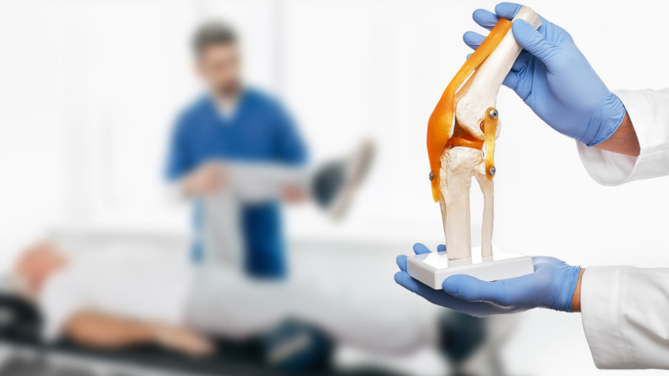 Синовиальная жидкость