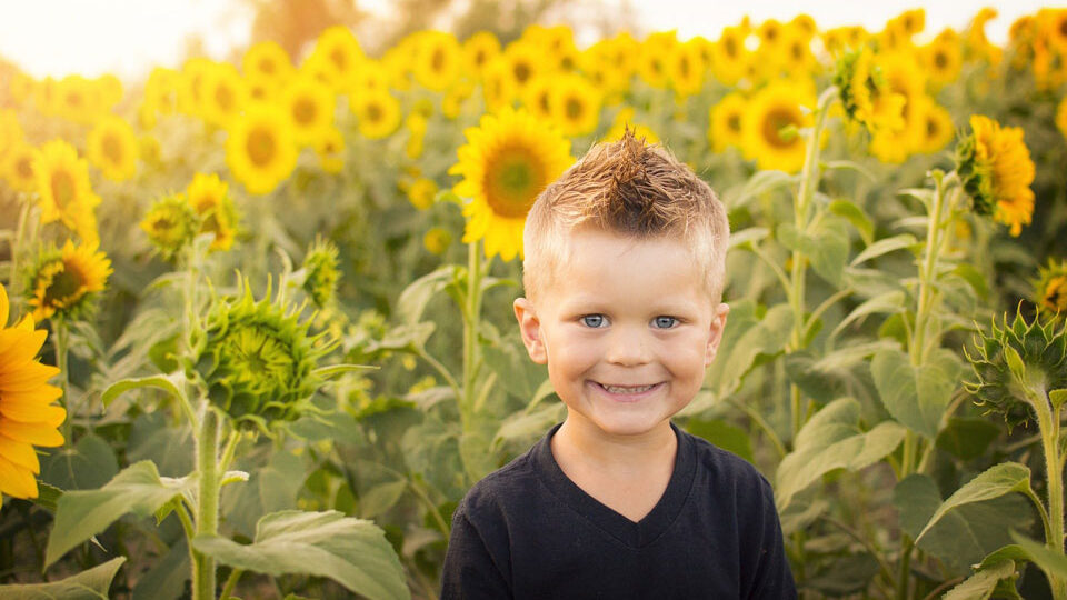 150+ идей, что подарить мальчику на 6 лет