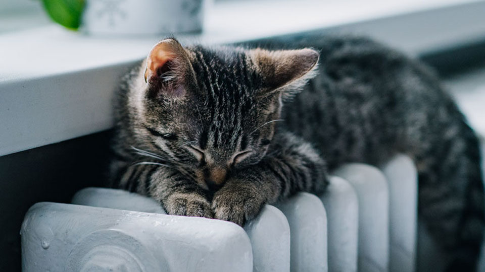 Температура в квартире в отопительный сезон