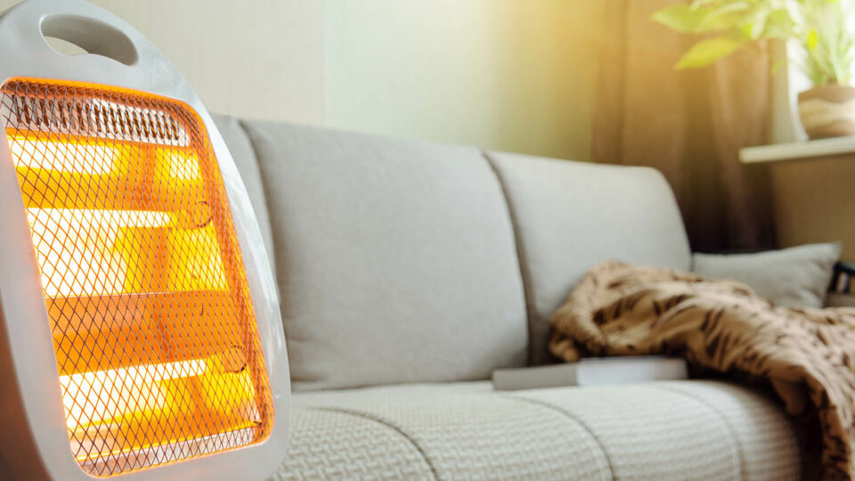 Фото: Elena Belgo / Shutterstock / Fotodom