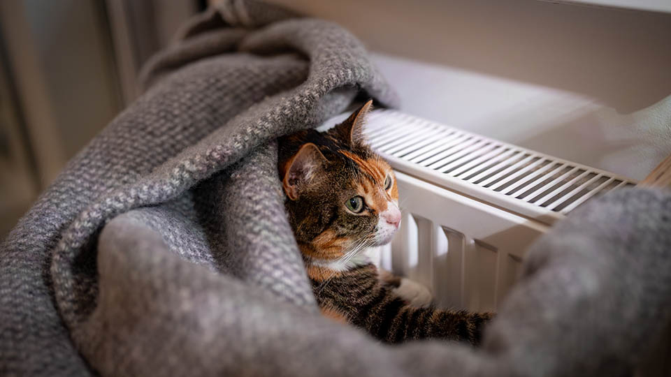 17 лучших радиаторов отопления для квартиры в 2025 году