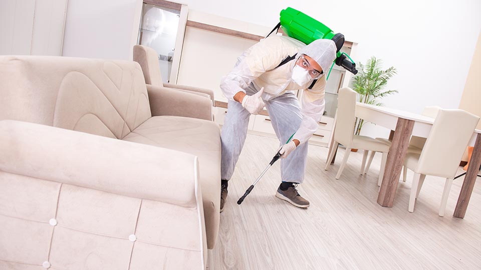 14 лучших средств от клопов в 2025 году