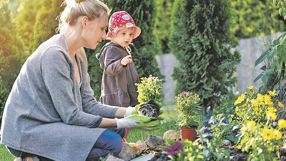 Букетная посадка