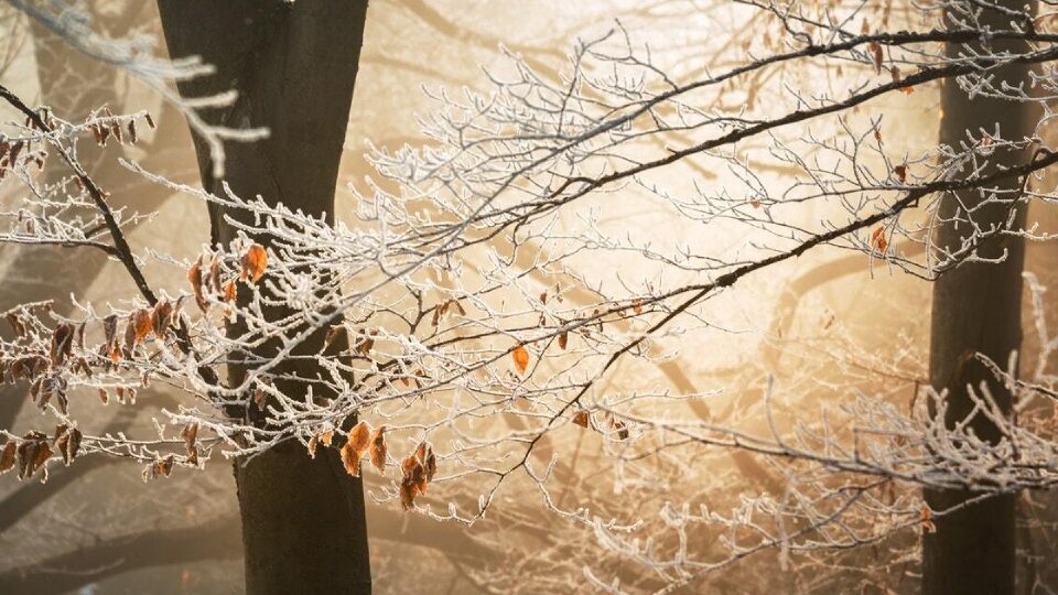 Какой праздник 30 ноября 2025 года