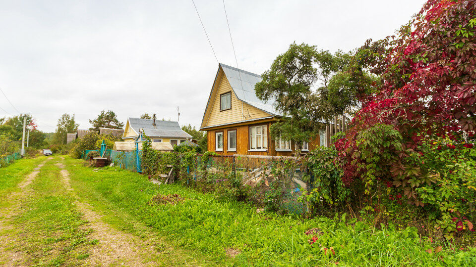 Дачные конфликты