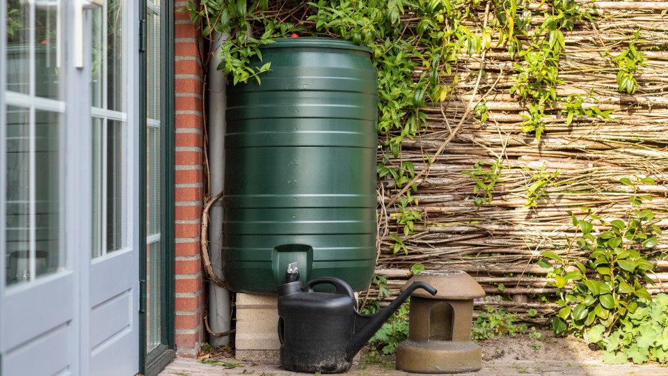 Как поливать огород