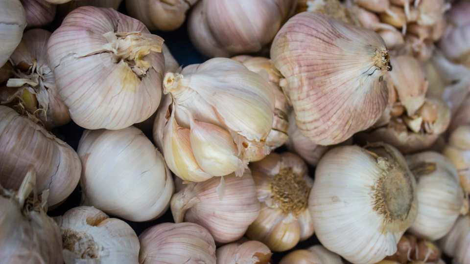 Яровой чеснок: как вырастить хороший урожай