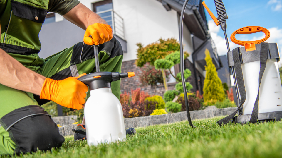 10 лучших средств от тли в 2025 году