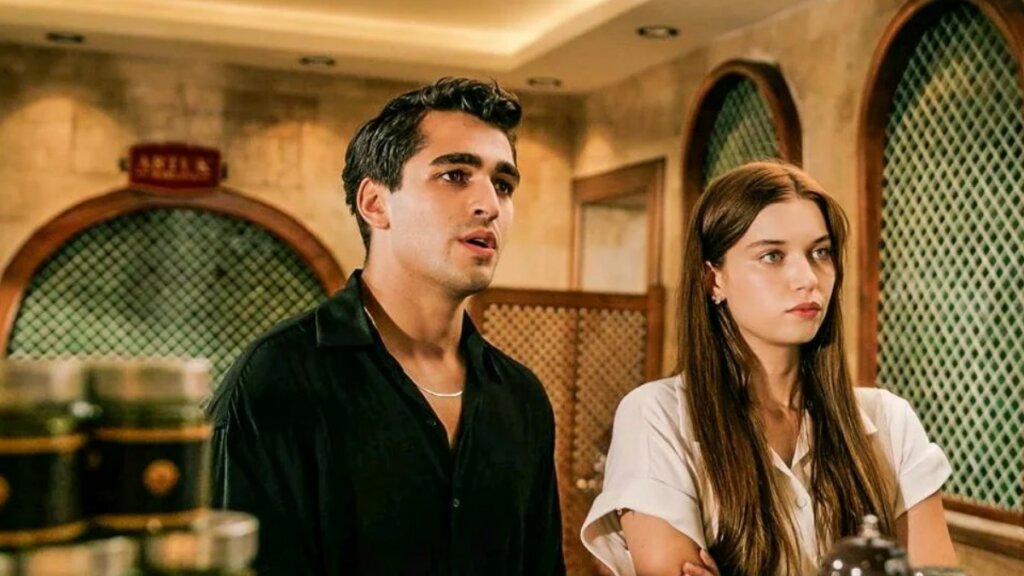 Теперь официально: Сериал «Зимородок» продлили на 3 сезон