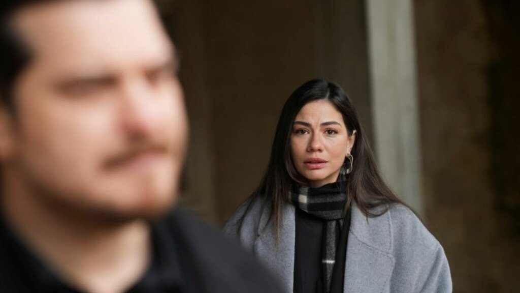 Эшреф отрекся от Нисан: Описание 35 серии турецкого сериала «Мечта Эшрефа»