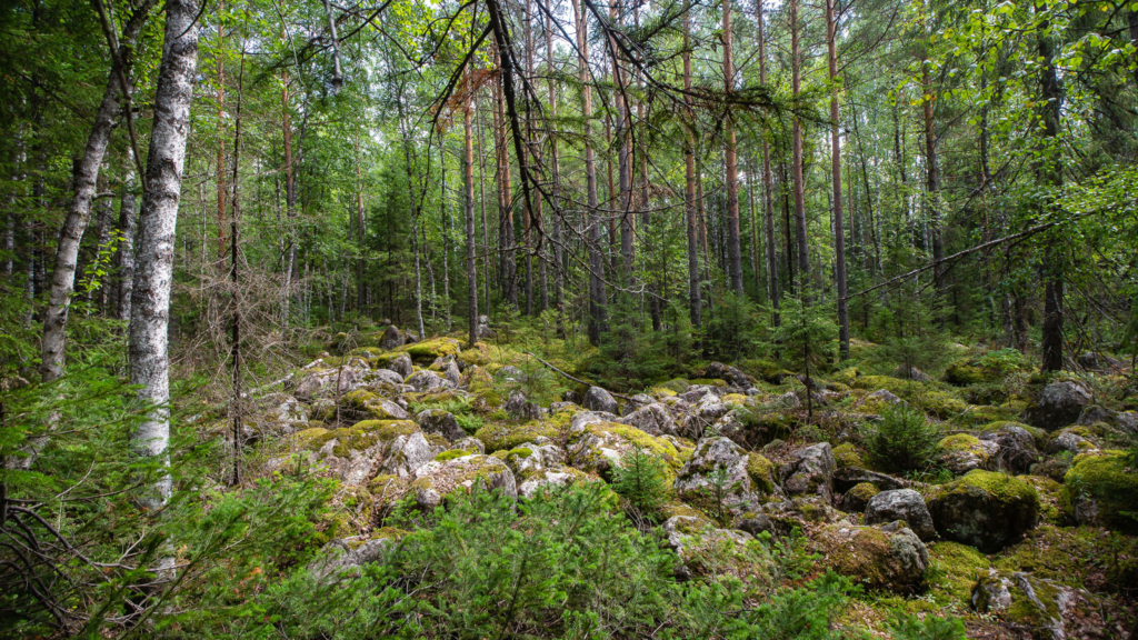 парк таганай