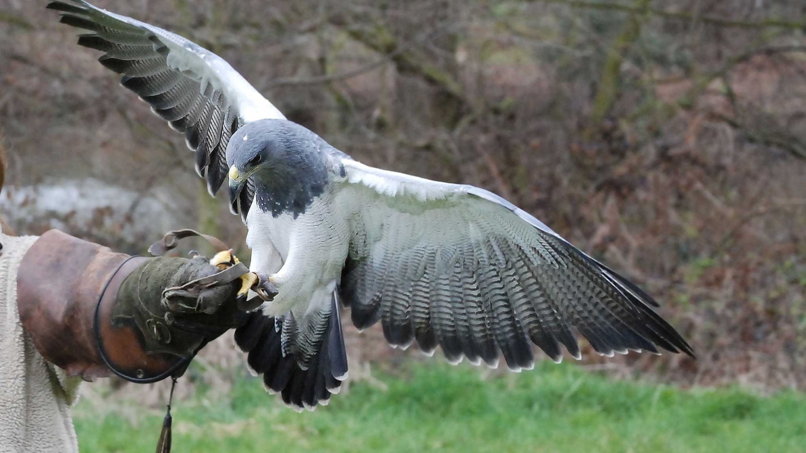 Культурное наследие