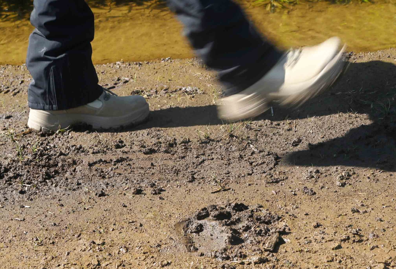 экспедиция на курилы 48