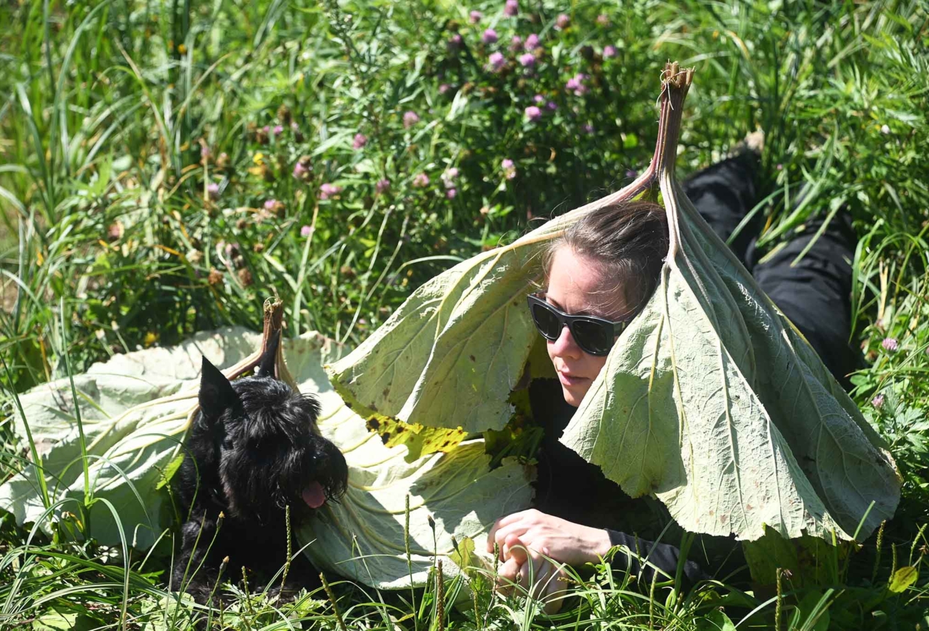 экспедиция на курилы 57