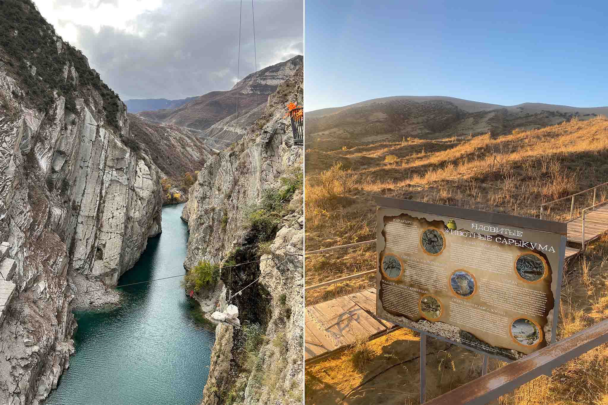 Туры Пегас Туристик 2023-2024: подбор и поиск туров с ценами, отзывами ...