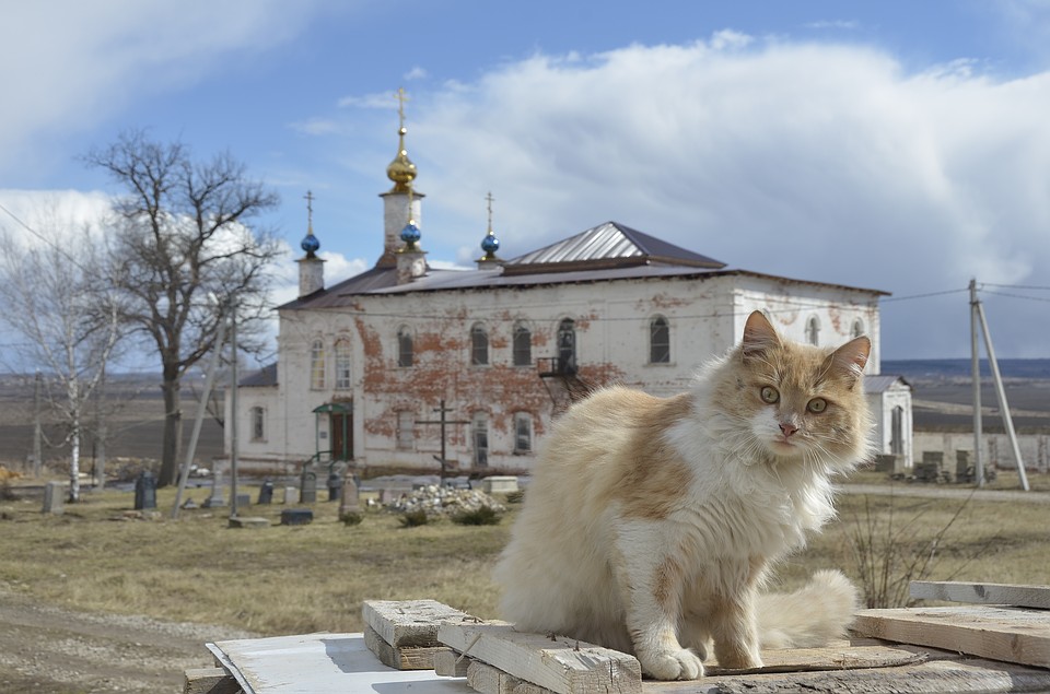 Белев тульской области знакомства знакомства домахозяйками