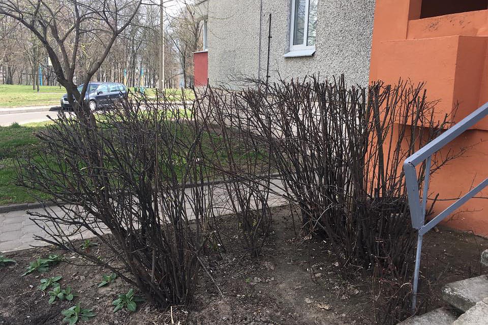 Ювентус новокосино дворовые команды Ювентус новокосино дворовые команды