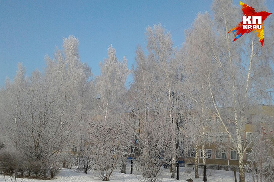 Алтайский край село алтайское алтайский район погода, машина элины камирен фото и на что лучше приклеить плитку на мдф Алтайский край село алтайское алтайский район погода