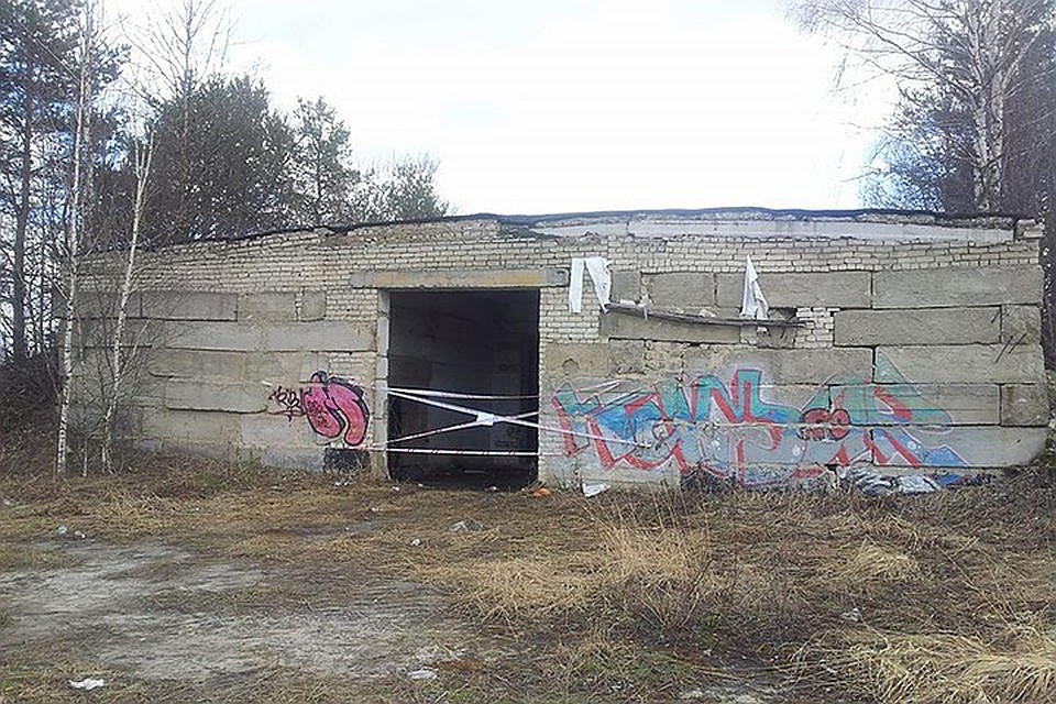 Тела малышей были обнаружены в заброшенном зернохранилище