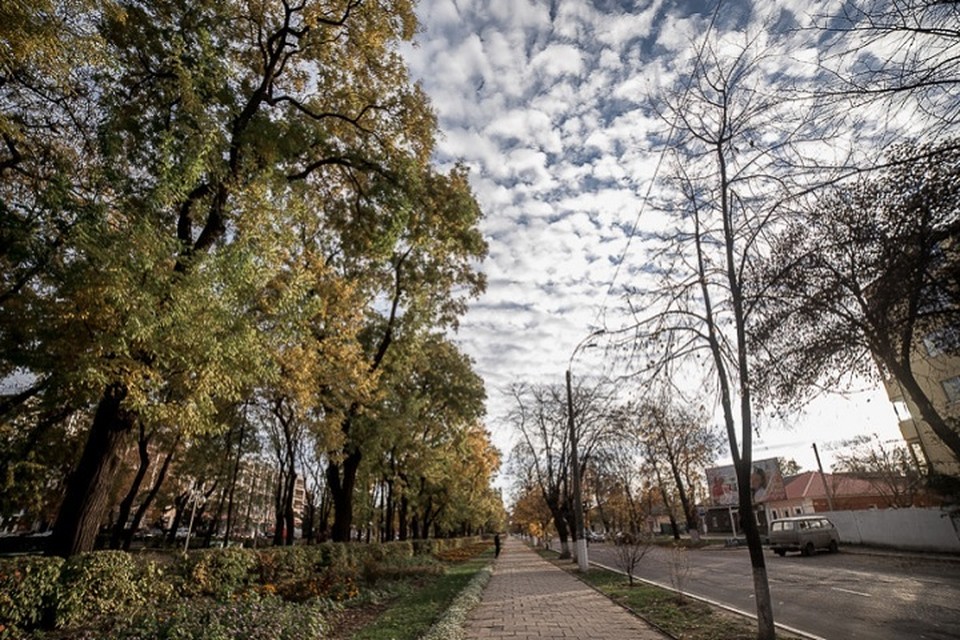 Погода в богдане