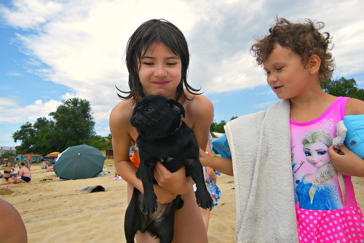 Вертлявая Багира довольна отдыхом, а вот ее хозяева - нет. За одну ночь семье из трех человек с собакой пришлось заплатить 800 рублей.