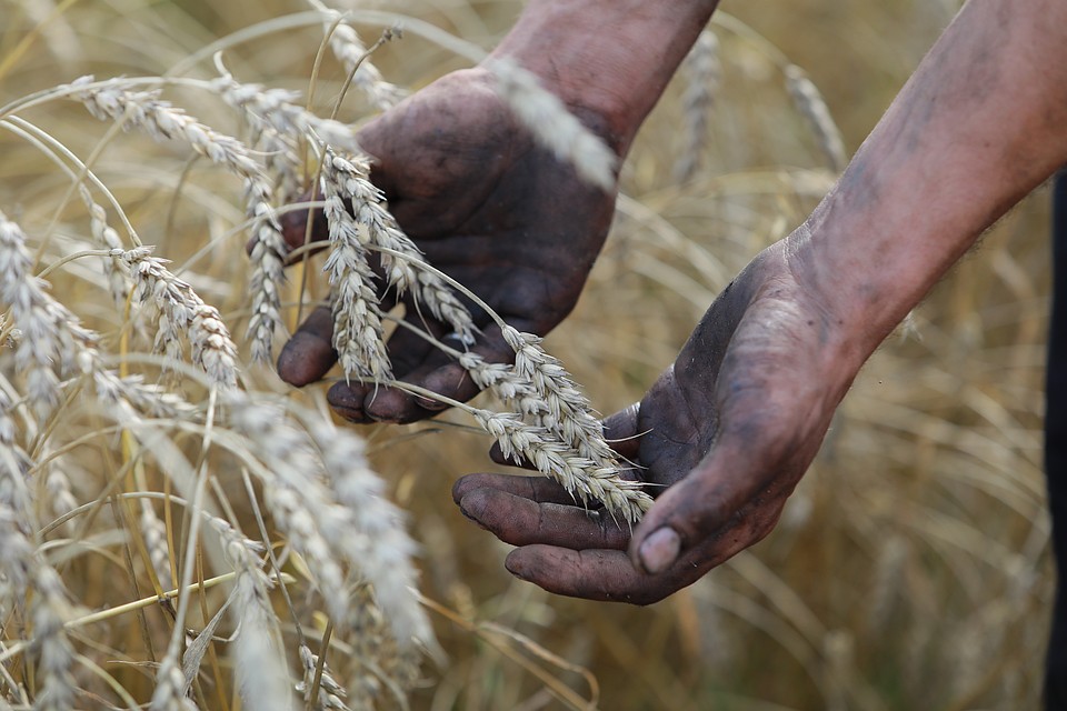 ������ ������