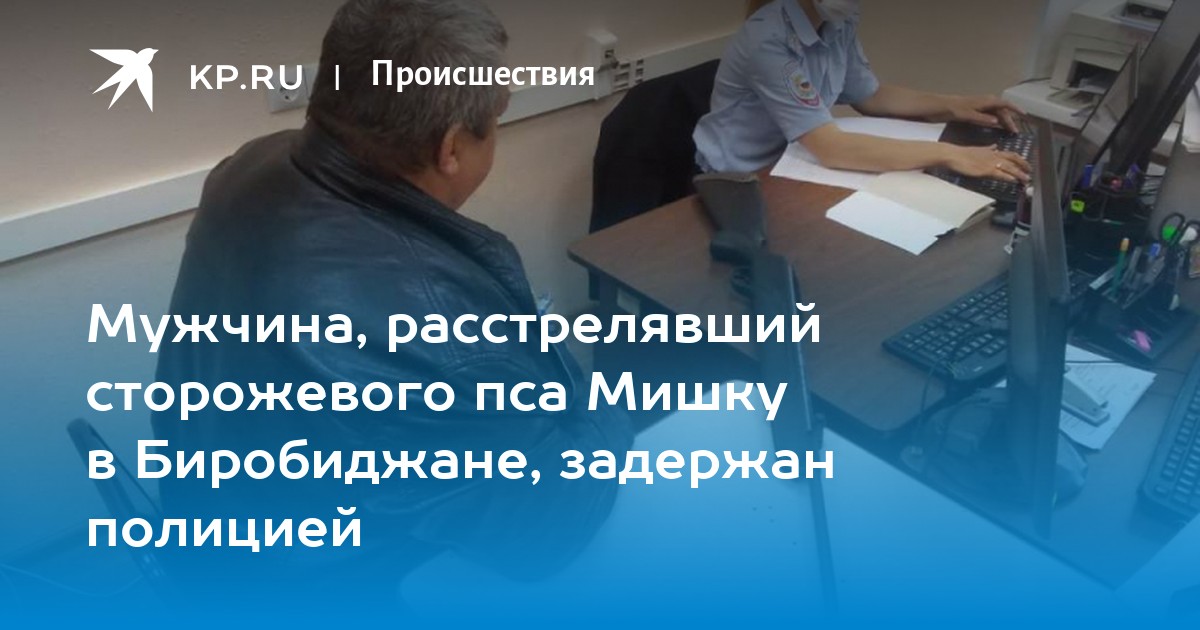 В Биробиджане живодёр обстрелял собаку в упор 1 В Биробиджане задержали подонка стрелявшего в пса Мишу