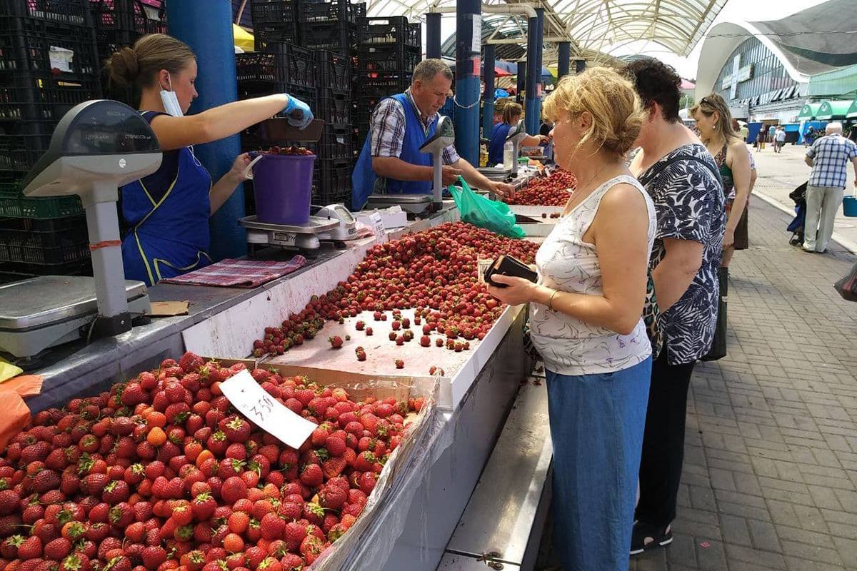 почем огурцы на комаровке. Смотреть фото почем огурцы на комаровке. Смотреть картинку почем огурцы на комаровке. Картинка про почем огурцы на комаровке. Фото почем огурцы на комаровке почем огурцы на комаровке. Смотреть фото почем огурцы на комаровке. Смотреть картинку почем огурцы на комаровке. Картинка про почем огурцы на комаровке. Фото почем огурцы на комаровке