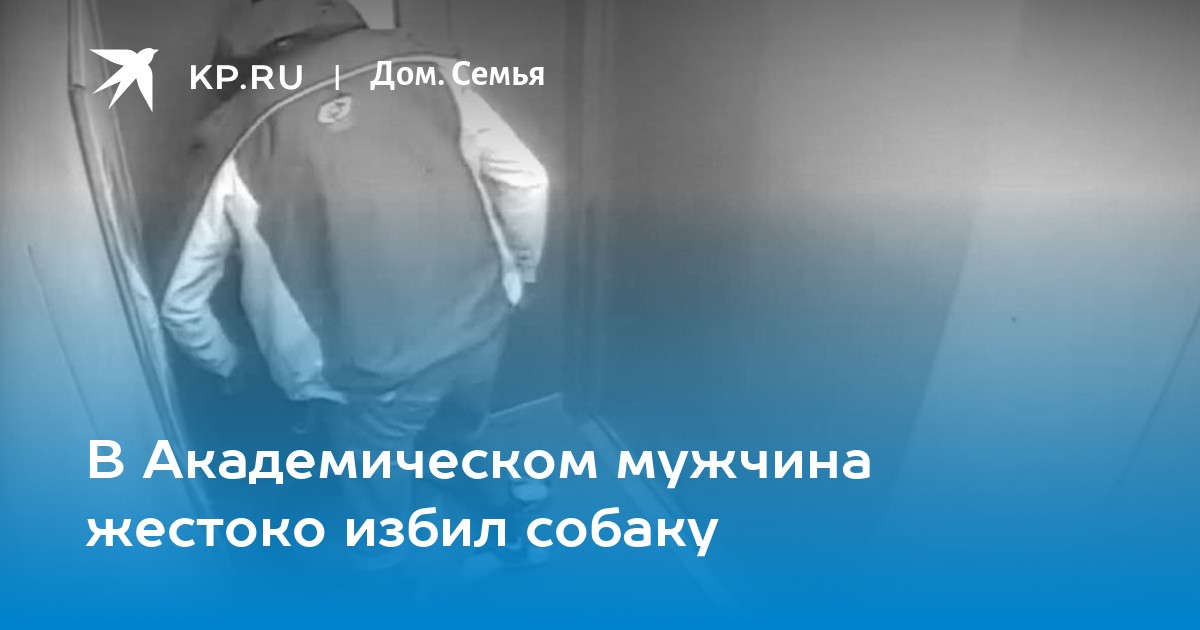 В Академическом мужчина жестоко избил собаку - Vimarsana News