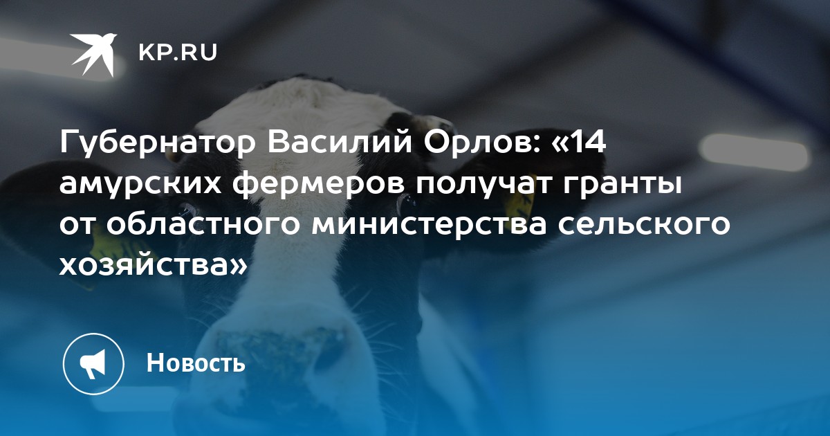 Губернатор Василий Орлов: «14 амурских фермеров получат гранты от областного министерства сельского хозяйства» - Vimarsana News