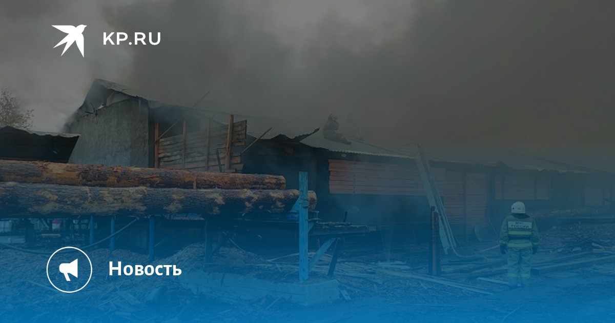 В Карпинске пожар произошел на территории деревообрабатывающего предприятия - Vimarsana News